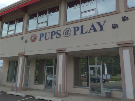 Dog daycare, boarding grooming and training all under 1 woof. . Pups at play montclair